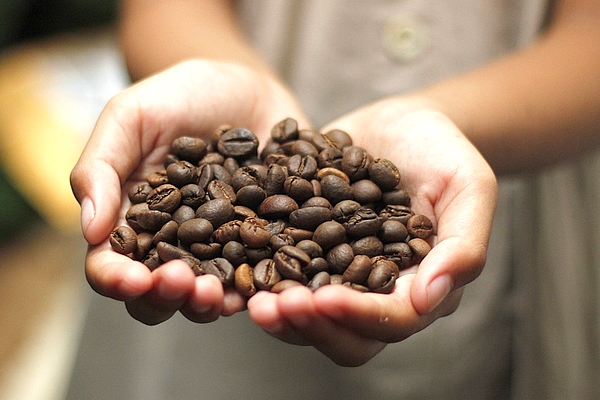 blog kawa ręce ziarno 600x400.jpg