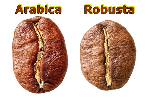 ziarna kawy blog 600x400.jpg