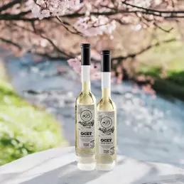 Ocet jabłkowy Naturalny, żywy ocet z jabłek szarej renety polskiej