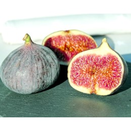 Hiszpański prawdziwy dżem figowy ręcznie robiony słoik 210g