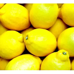 Hiszpański prawdziwy dżem cytrynowy ręcznie robiony 210g