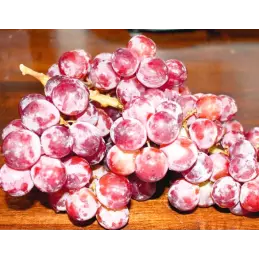 Hiszpański dżem z czerwonego wina ręcznie robiony słoik 210 g