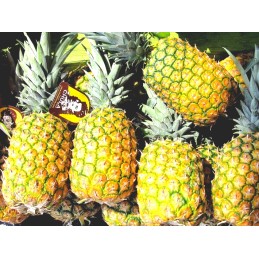 Hiszpański dżem z ananasów ręcznie robiony słoik 210g