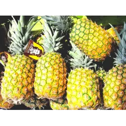 Hiszpański dżem z ananas&oacute;w ręcznie robiony słoik 210g