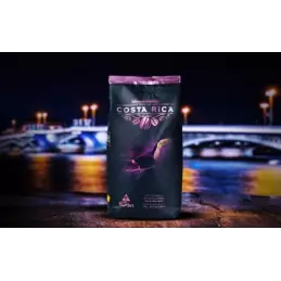 Hiszpańska Kawa Arabica ziarno z Costa Rica najlepsza 1kg