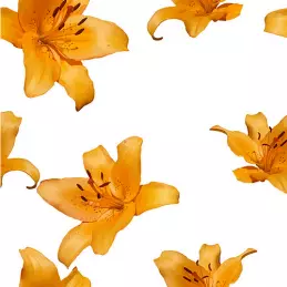 Hiszpański oryginalny dżem z płatk&oacute;w kwiatu pomarańczy ręcz słoik 210g