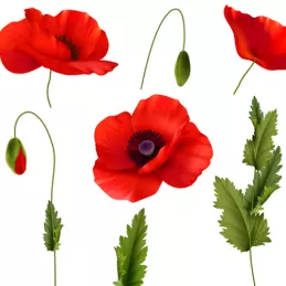 Hiszpański dżem z płatk&oacute;w kwiatu maku ręcznie robiony 210g