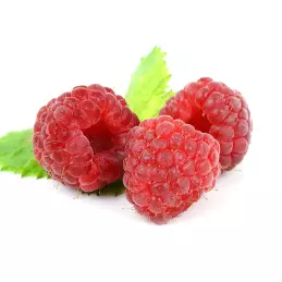 Hiszpański prawdziwy dżem z malin ręcznie robiony w słoiku 210g