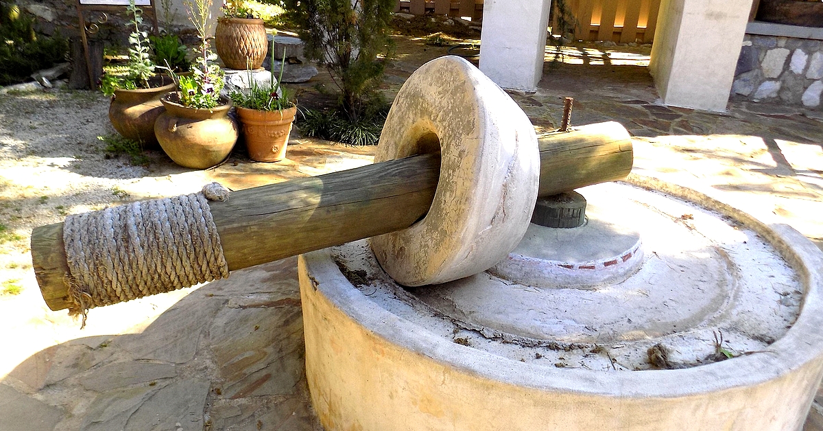 Jak powstaje najlepsza oliwa z oliwek. Rodzaje oliwy z oliwek 